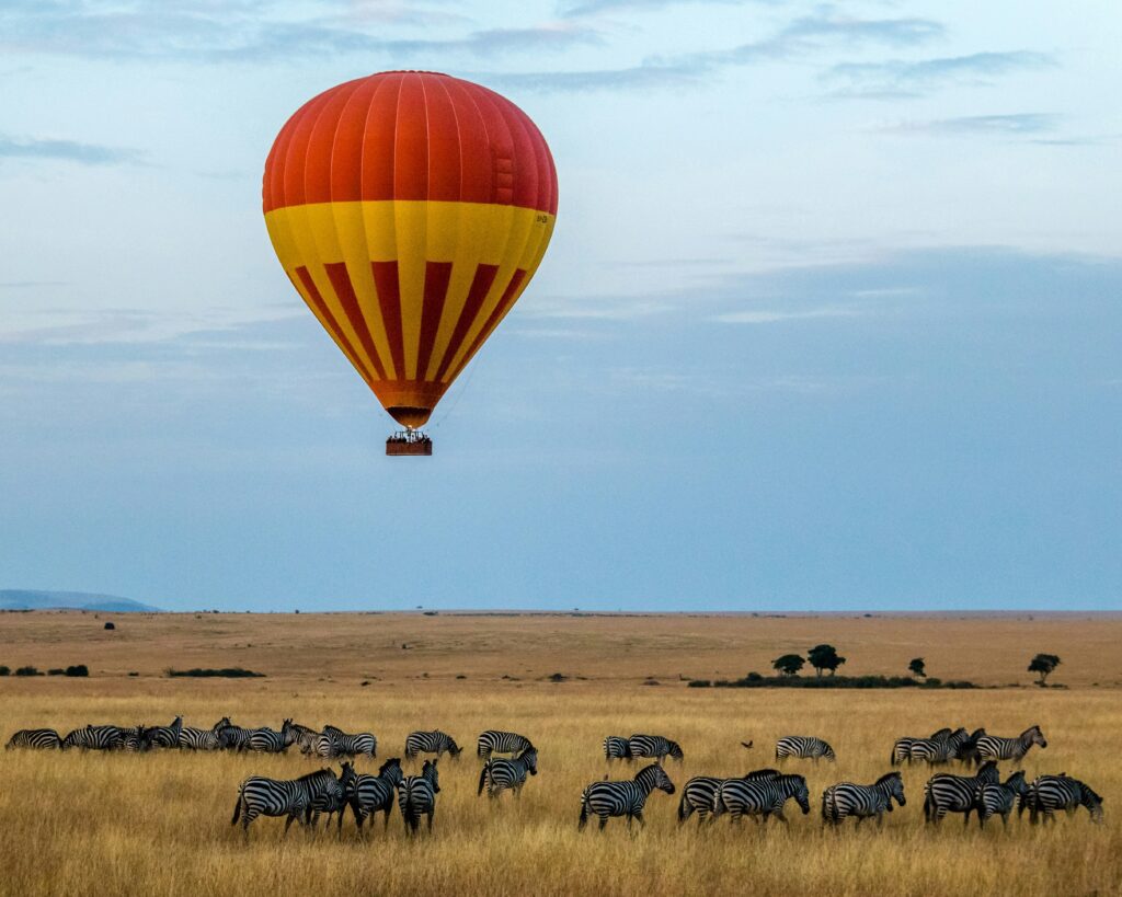 travel-packages-book-tickets